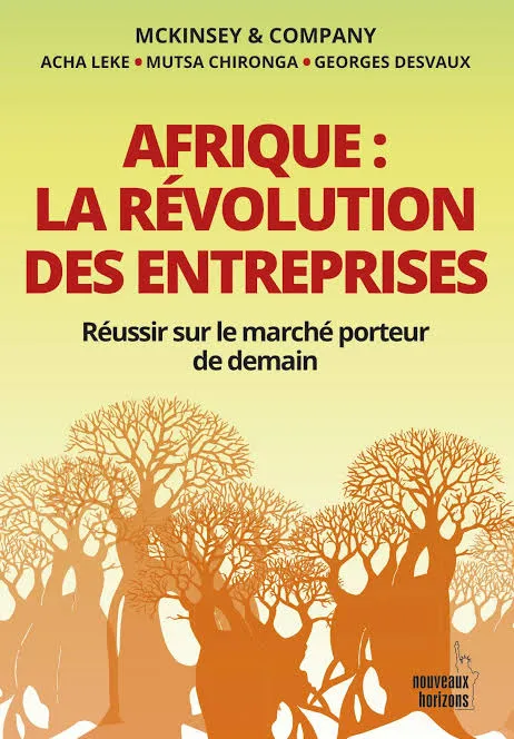 Afrique: La révolution des entreprises